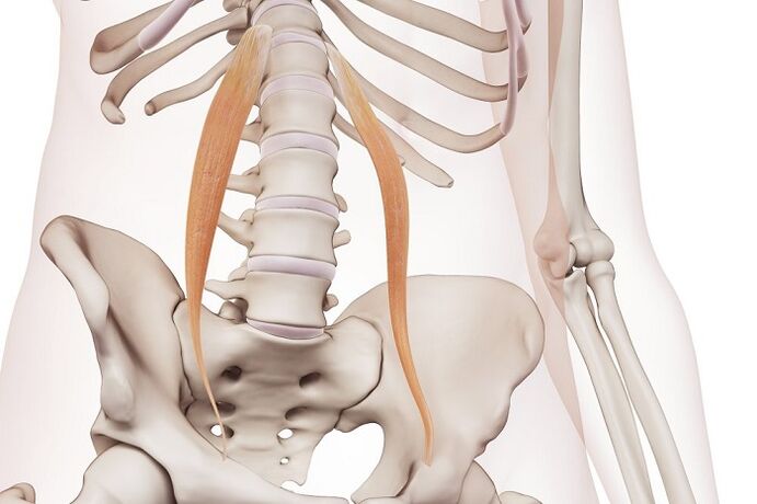 Spinal osteochondrosis in the lumbar region the essence of the disease